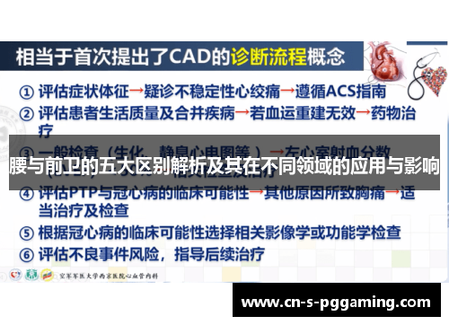 腰与前卫的五大区别解析及其在不同领域的应用与影响 腰与前卫的五大区别解析及其在不同领域的应用与影响