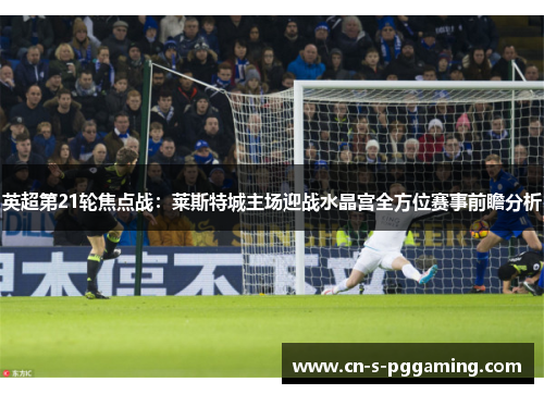 英超第21轮焦点战:莱斯特城主场迎战水晶宫全方位赛事前瞻分析 英超第21轮焦点战:莱斯特城主场迎战水晶宫全方位赛事前瞻分析