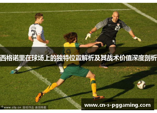 西格诺里在球场上的独特位置解析及其战术价值深度剖析 西格诺里在球场上的独特位置解析及其战术价值深度剖析