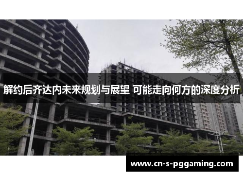 解约后齐达内未来规划与展望 可能走向何方的深度分析