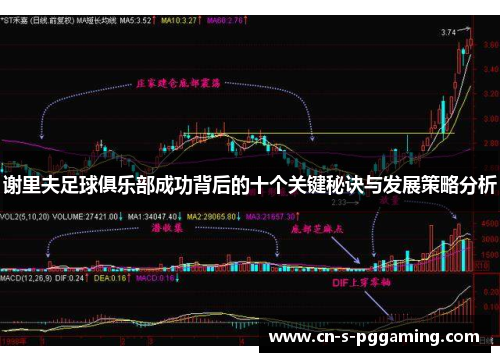 谢里夫足球俱乐部成功背后的十个关键秘诀与发展策略分析 谢里夫足球俱乐部成功背后的十个关键秘诀与发展策略分析
